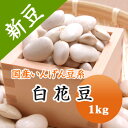 白花豆 しろはな豆 北海道産 1kg【令和6年産】
