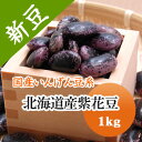 紫花豆 北海道産 磨き選別品 1kg【令和6年産】