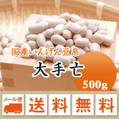 白いんげん豆 大手亡 白あんなどに.. 北海道産 500g【令和5年産】 メール便 送料無料　お届けに3日～7日かかります