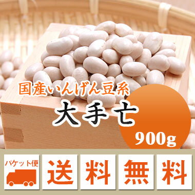 楽天豆平　楽天市場店白いんげん豆 大手亡 しろあんなどに.. 北海道産 900g【令和5年産】メール便 送料無料　お届けに3日～7日かかります