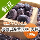 紫花豆 高原花豆 長野県産 500g【令和2年産】 紫花豆 高原花豆 長野県産 500g【令和2年産】