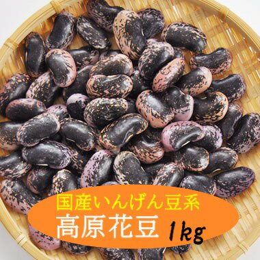 紫花豆 高原花豆 大粒 1kg 高原豆 【令和6年産】数量限定
