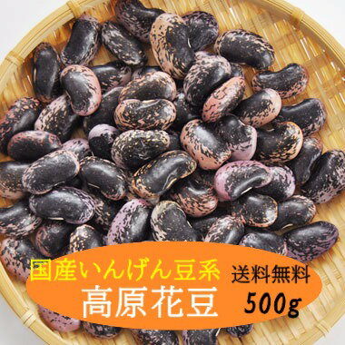 紫花豆 高原花豆 大粒 500g 高原豆 【令和6年産】メール便 送料無料 数量限定