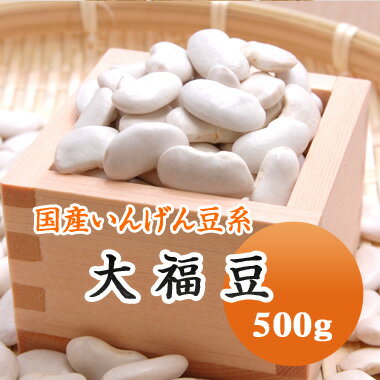 いんげん豆 大福豆 十六寸豆 斗六豆 北海道産 500g【令和4年産】