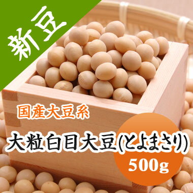 大豆 白目大豆 とよまさり 北海道産 500g味噌 【令和5年産】 煮豆などに..