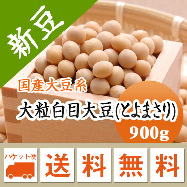 大豆 白目大豆 とよまさり 北海道産 900g 【令和5年産