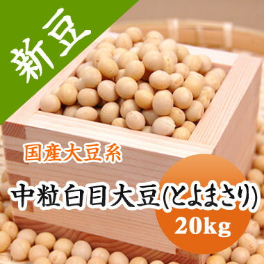 大豆 中粒白目大豆 とよまさり 【令和5年産】 北海道産 煮豆 豆乳 味噌 豆腐などに 20kg 大容量