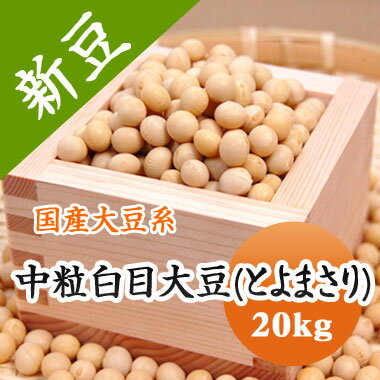 大豆 中粒白目大豆 とよまさり 【令和6年産】 北海道産 煮豆 豆乳 味噌 豆腐などに 20kg 大容量 大豆 中粒白目大豆 とよまさり 【令和6年産】 北海道産 煮豆 豆乳 味噌 豆腐などに 20kg 大容量