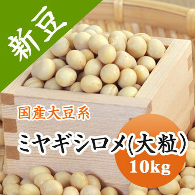 大豆 ミヤギシロメ 【令和5年産】2等級品 宮城県産 10kg　味噌作り綺麗な大豆 味噌 煮豆 豆乳などに..　送料無料！！