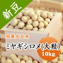 大豆 ミヤギシロメ 【令和5年産】2等級品 宮城県産 10kg　味噌作り綺麗な大豆 味噌 煮豆 豆乳などに..　送料無料！！