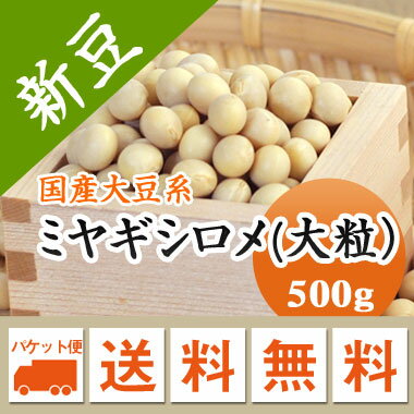 大豆 ミヤギシロメ 大粒 2等級品 宮城県産 豆乳 豆腐 味噌 煮豆などに 500g 【令和5年産】 メール便 送料無料！！お届けに3日～7日かかります