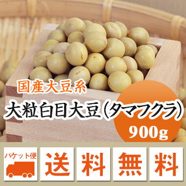 大豆 たまふくら 国内最大黄大豆 タマフクラ 北海道産 高級煮豆用 900g【令和4年産】 メール便 ...