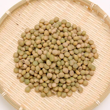 大豆 音更大袖振大豆 北海道産 豆腐 豆乳 味噌 煮豆などに.. 5kg【令和6年産】 大容量