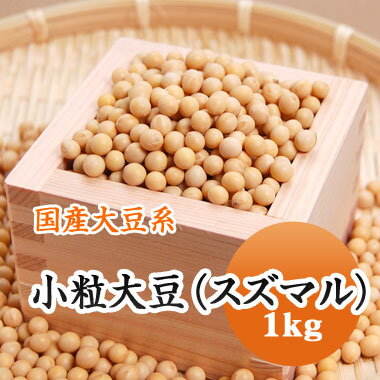 大豆 納豆用小粒大豆 スズマル すずまる 1等級品 北海道産 1kg【令和5年産】