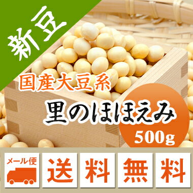 大豆 里のほほえみ 山形県産 豆乳 豆腐 味噌 煮豆などに 500g【令和5年産】 メール便 送料無料　お届けに3日～7日かかります