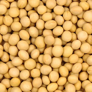 大豆 里のほほえみ 山形県産 豆乳 豆腐 味噌 煮豆などに.. 500g【令和6年産】