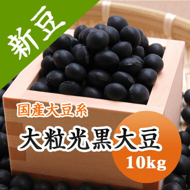 黒豆 大粒光黒大豆 北海道産 10kg【令和5年産】 送料無料 大容量