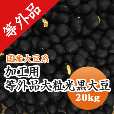 黒豆 【加工用 等外品】 大粒光黒大豆 北海道産 訳あり20