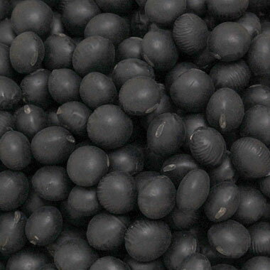 黒豆 豆類 【 黒大豆 　北海道産 500g2個入り1kg】レターパックで送料込み