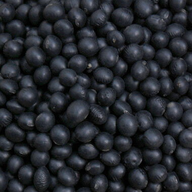 黒豆 中粒光黒大豆 北海道産 900g【令和6年産】 メール便 送料無料 市場には出回らない珍しいサイズお届けに3日～7日かかります