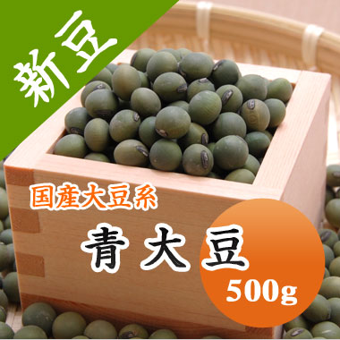 大豆 青大豆 山形県産 500g【令和6年産】