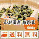 大豆 鞍掛豆 くらかけ豆 山形県産 500g【令和4年産】 メール便 送料無料