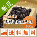 大豆 紅大豆 山形県産 500g【令和6年産】 メール便 送料無料