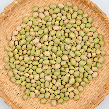 大豆 秘伝豆 山形県産 20kg【令和6年産】 【業務用】 ひたし豆 大容量 送料無料