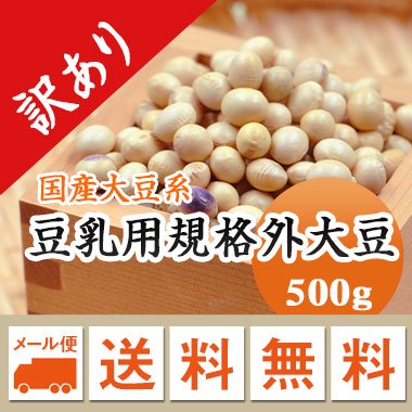 大豆 等外品 岩手県産　規格外 訳あり B級品 食品ロス 500g【令和5年産】 メール便 送料無料 味噌 豆乳などに..　お届けに3日～7日かかります