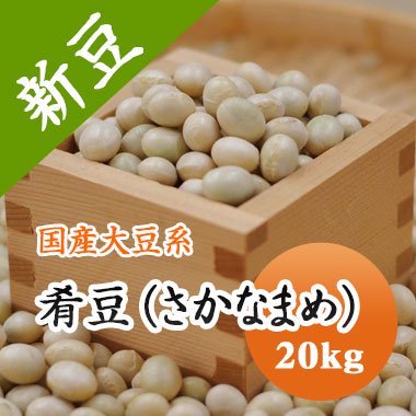 大豆 肴豆 ( さかなまめ ) 宮城県産 20kg【令和6年産】 大容量