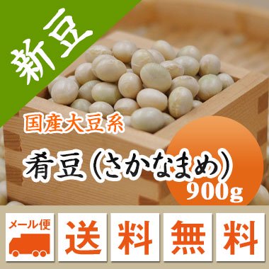 大豆 肴豆 ( さかなまめ ) 宮城県産 900g【令和5年産】 メール便 送料無料　お届けに3日～7日かかります