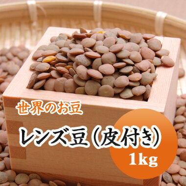レンズ豆 ブラウン (皮付き) アメリカ産 1kg