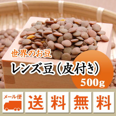 レンズ豆 ブラウン 皮付き アメリカ産 500g 【メール便 送料無料】お届けに3日～7日かかります