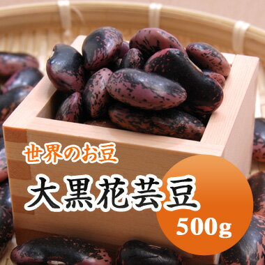 紫花豆 中国産 大黒花芸豆 500g　残留農薬検査合格品