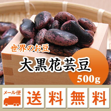 新物　大正金時豆（生豆）900g　北海道産　メール便限定商品　　※メール便専用のため日付指定・代引き・ラッピングは不可※【全国送料無料／赤飯／豆／沖縄ぜんざい】　フードロス　在庫処分