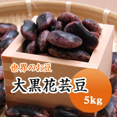 紫花豆 中国産 大黒花芸豆 5kg 残留農薬検査合格品 送料無料