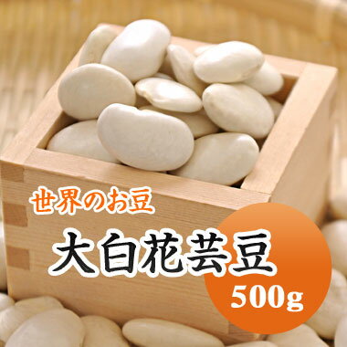 白花豆 中国産 手撰大白花芸豆 500g　残留農薬検査合格品