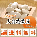 白花豆 中国産 手撰大白花芸豆 500g【メール便 送料無