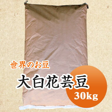 白花豆 中国産 手撰大白花芸豆 30kg 【業務用】残留農薬検査合格品　送料無料