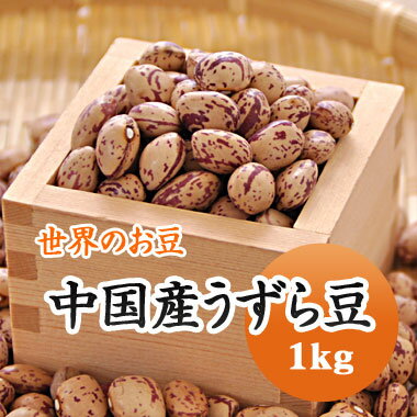 うずら豆 手撰 中国産うずら豆 1kg