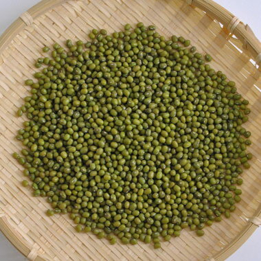 緑豆　青小豆　八重生　文豆　ムング豆　中国産 10kg　残留農薬検査合格品　もやし原料　送料無料!!