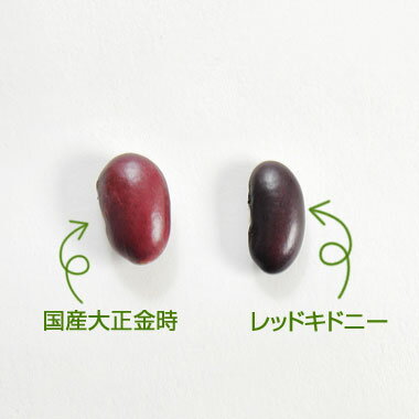 レッドキドニー アメリカ産 5kg