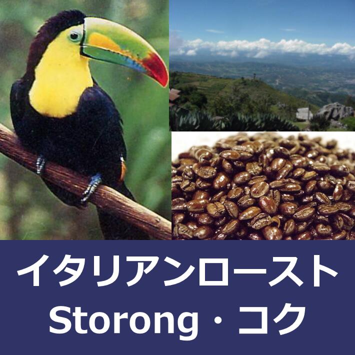 【おうち時間応援キャンペーン】【まとめ買い・30%オフ】グァテマラSHB・イタリアン 1kg【自家焙煎コーヒー豆・レギュラーコーヒー】