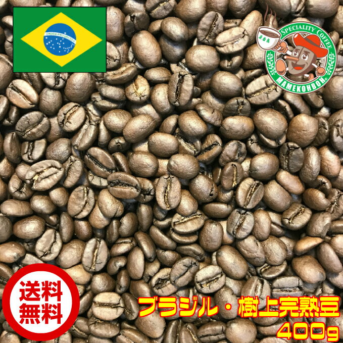 【メール便・送料無料】ブラジル・樹上完熟豆(DOT) 400g【自家焙煎コーヒー豆・レギュラーコーヒー】