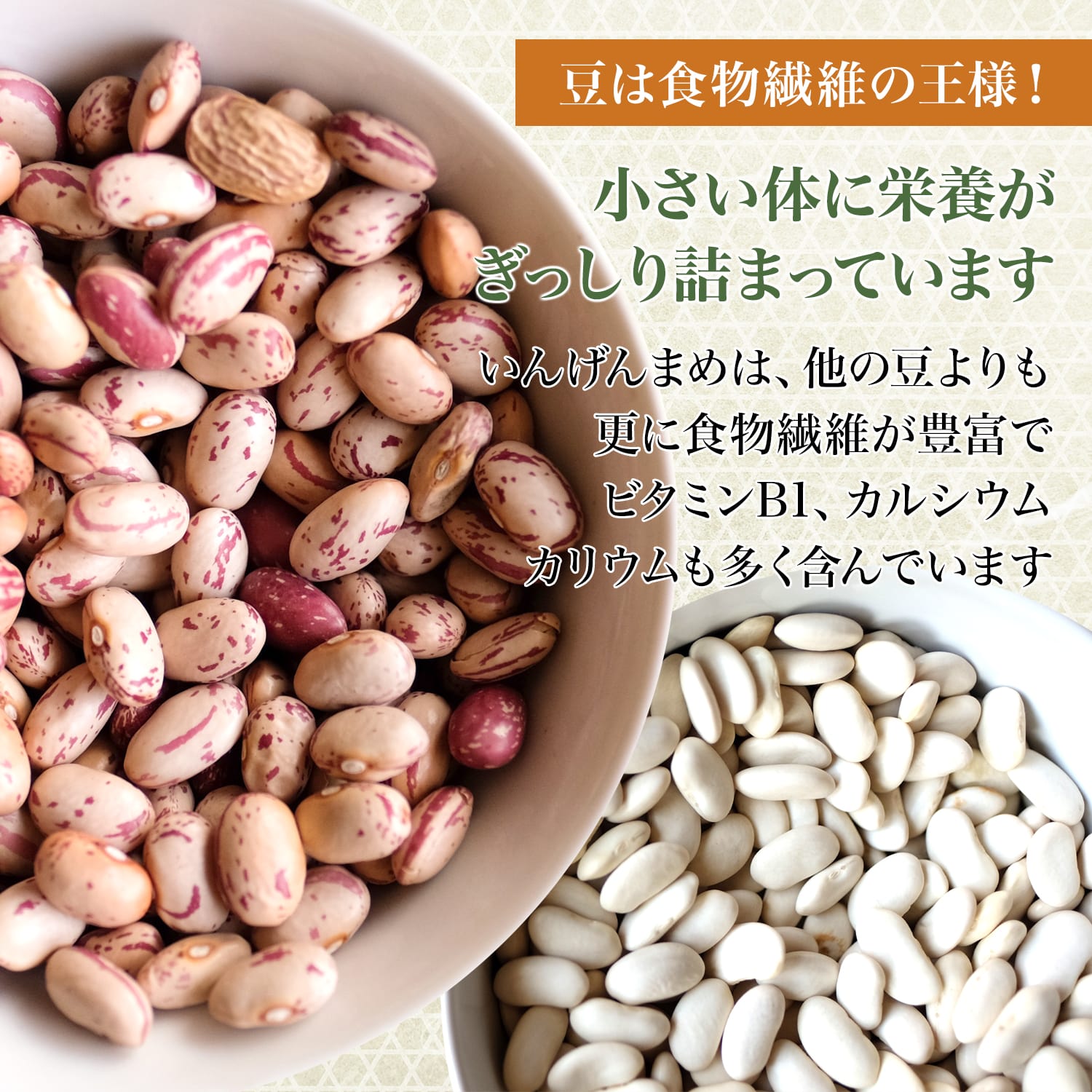 セール いんげん豆 1.2kg daterskate.com.ar