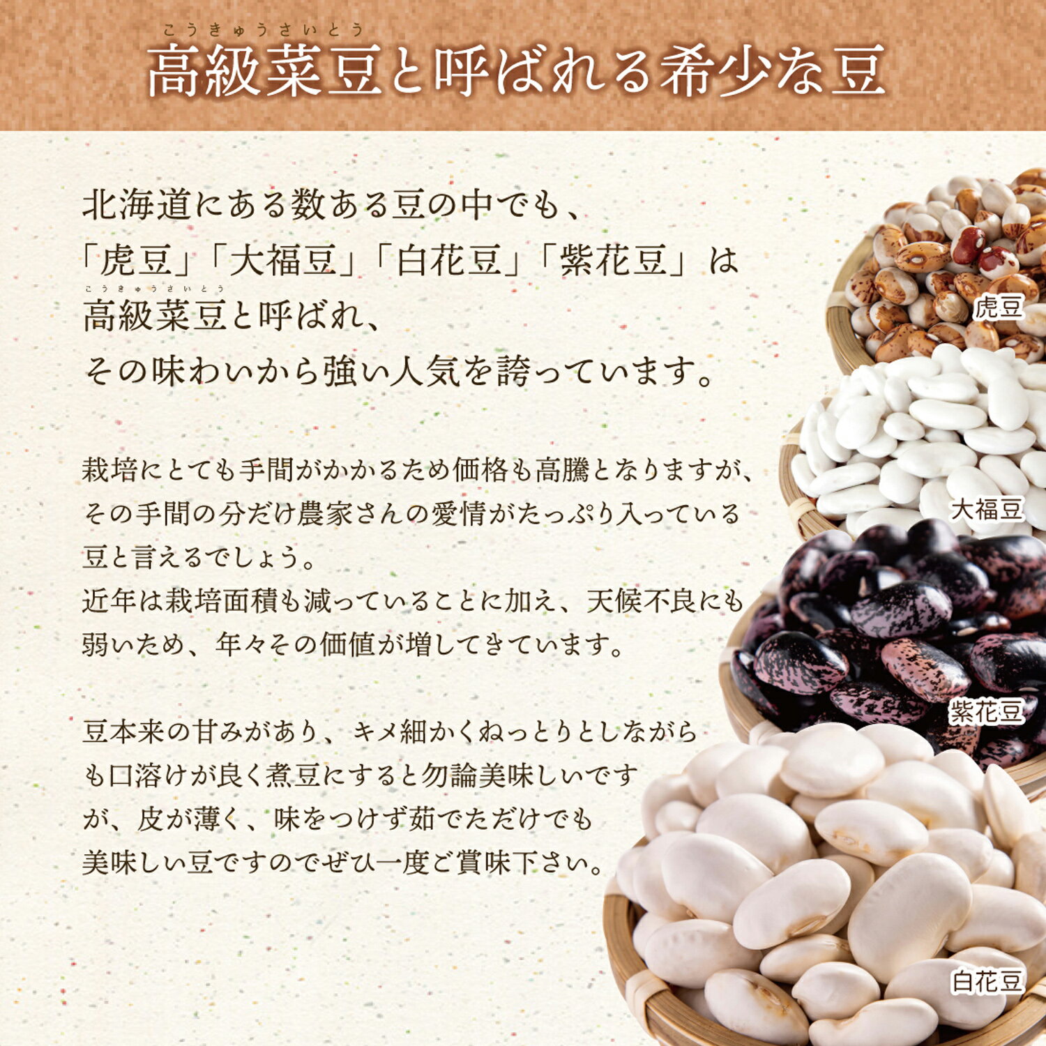 令和3年収穫の新豆 白花豆 最大79 Offクーポン 白花美人 令和3年収穫 北海道産 500グラム