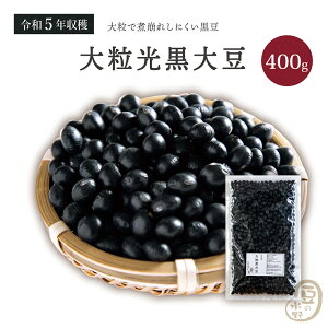 北海道産 大粒黒大豆 令和3年収穫 500グラム 黒大豆 国産黒大豆 乾燥黒大豆 黒豆 国産黒豆 乾燥黒豆 国産大豆 乾燥大豆 食物繊維 栄養 豊富 畑の肉 ダイズ 国産 国内産 だいず 豆 乾燥豆