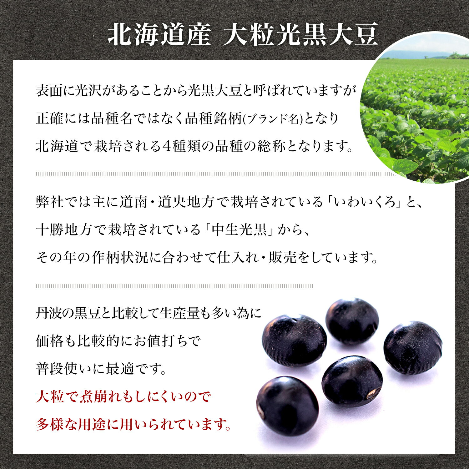 【常温】麻筍スライス 5ガロン (丸京/農産加工品【常温】/たけのこ) 業務用