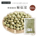 特別栽培 秘伝豆 850グラム 令和6年収穫 山形県産 【送料無料】青大豆 石塚ファーム 治五左衛門 ひたし豆 ハッピー豆 大豆イソフラボン タンパク質 畑の肉 ダイズ 国産 国内産 だいず 豆 乾燥豆 特別栽培 特別栽培農産物 有機肥料使用 減農薬栽培 国産大豆
