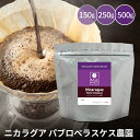 コーヒー豆 ニカラグア スペシャルティコーヒー 150g / 250g / 500g パブロ ベラスケス マメーズ焙煎工房 焙煎したて 煎りたて 新鮮 自家焙煎 コーヒー 豆のまま 粉 スペシャルティ スペシャリティ シングルオリジン